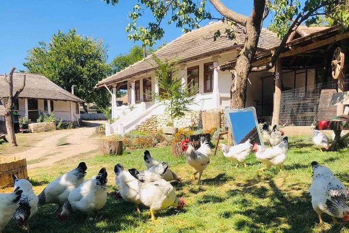 Half-Day Private Guided Tour of Orheiul Vechi and a Farmhouse