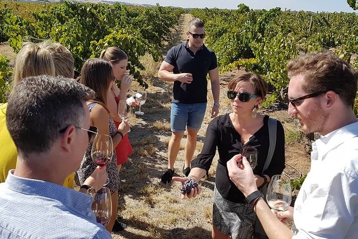 Barossa Wine Tour - Max 6 guests incl Chef's Menu Lunch with wine