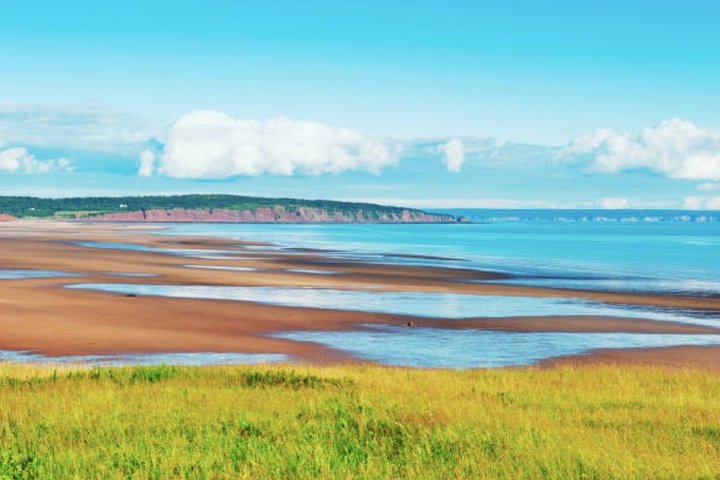 New Brunswick Shore Excursion: Bay of Fundy and More Highlights Tour