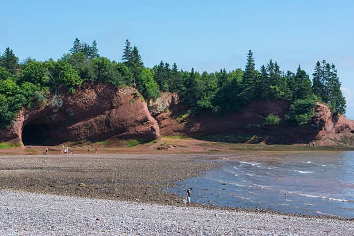 New Brunswick Shore Excursion: Bay of Fundy and More Highlights Tour
