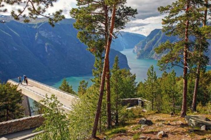 Flam: The Spectacular Stegastein Viewpoint Tour (Small Group)