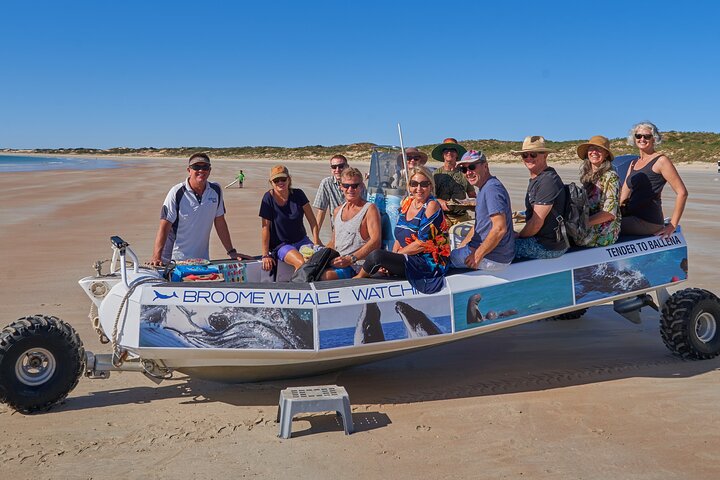 Snubfin Dolphin Eco Cruise from Broome