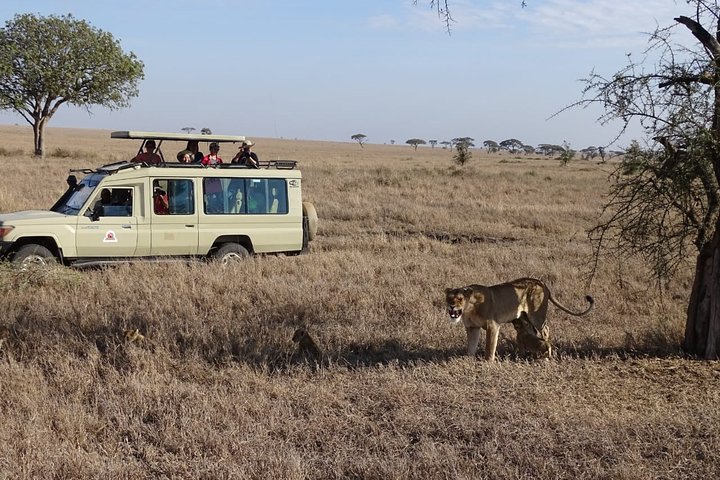 3 days group joining safari to Maasai Mara with a Land Cruiser Jeep