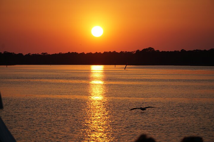 Dolphin and Nature Sunset Cruise from Orange Beach