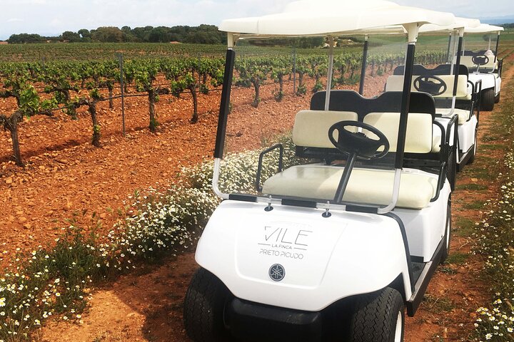 Wine tourism : wine tasting