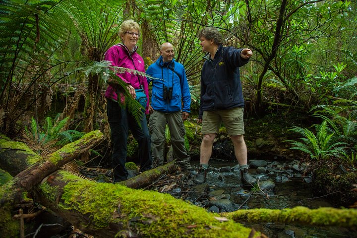 Bruny Island Traveller - Gourmet Tasting and Sightseeing Day Trip from Hobart
