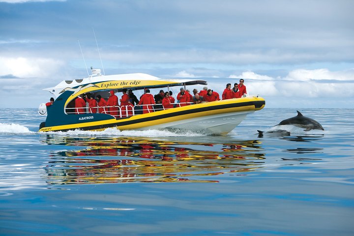 Tasman Peninsula Wilderness Cruise from Port Arthur