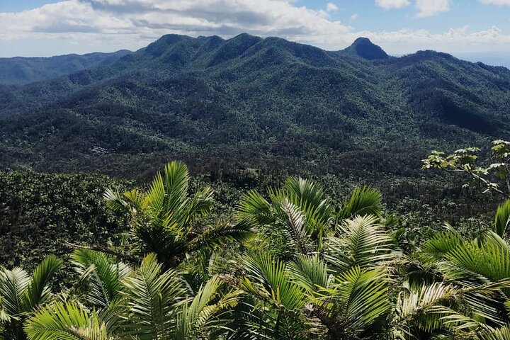 El Yunque Rainforest Waterslides and Luquillo Beach w/ Transport