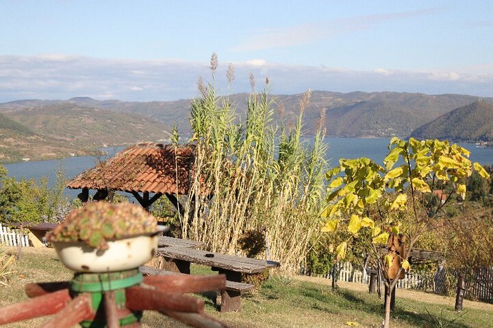 Along the Danube: Golubac Fortress & Iron Gate Gorge day trip from Belgrade