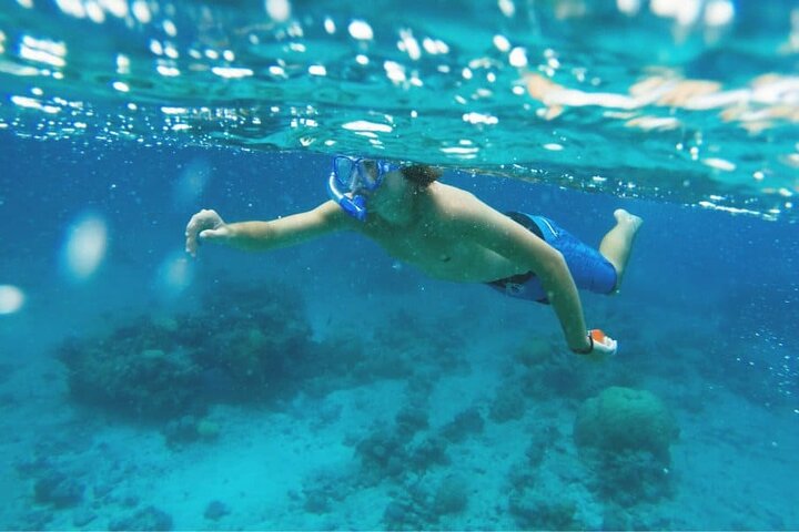 Shore Excursion Premium Family Snorkeling Experience