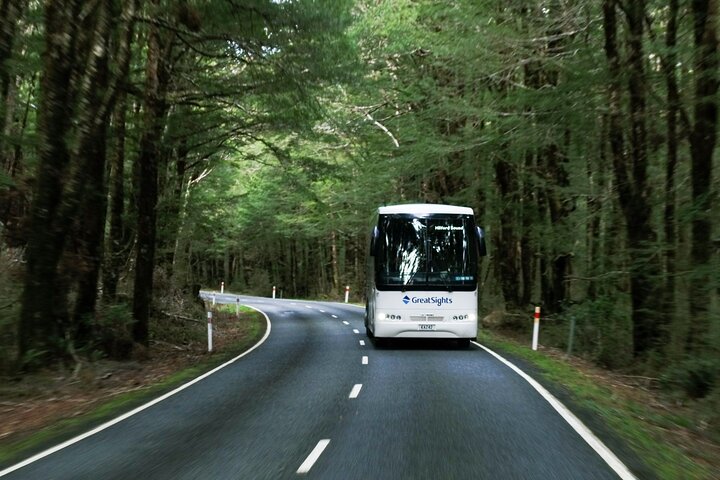 From Te Anau: Milford Sound Cruise & Glass-Roof Coach Tour