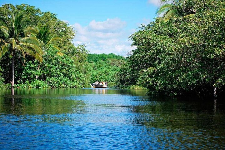 Puerto Angel Exotic Animal Wildlife Experience