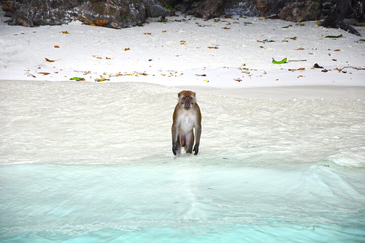 Full-Day Phi Phi Islands Tour with Lunch from Krabi