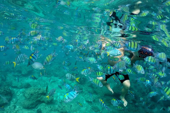 Full-Day Phi Phi Islands Tour with Lunch from Krabi