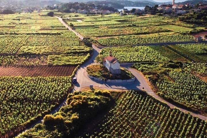 Wine tour Korčula - private tour
