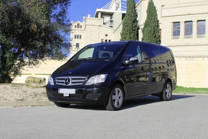 Private Valencia Transfer: Cruise Port or Airport to Central Valencia