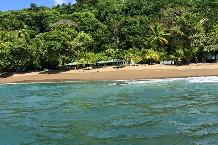 One Day Tour To Corcovado From Sierpe