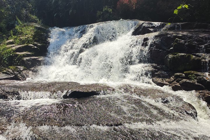 Private Waterfalls and Still Jeep 4x4 6hrs by Jango Paraty