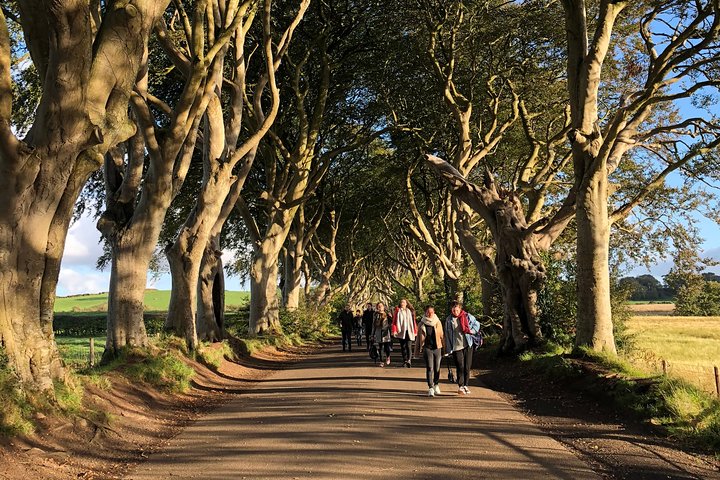 Giants Causeway, Rope Bridge, Carrickfergus Castle and Dark Hedges Tour