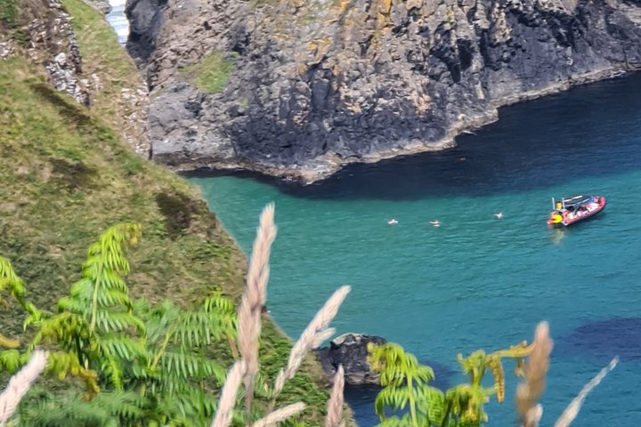 Giants Causeway, Rope Bridge, Carrickfergus Castle and Dark Hedges Tour