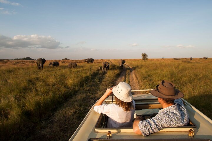 Hwange Park Big 5 Game Drive!