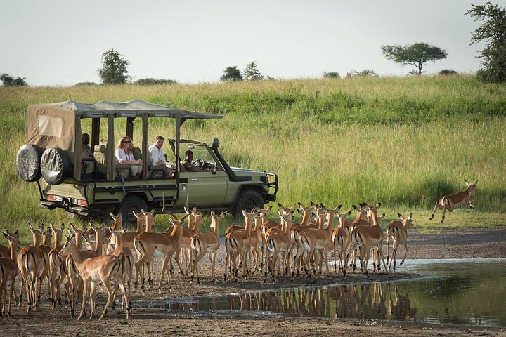 Hwange Park Big 5 Game Drive!