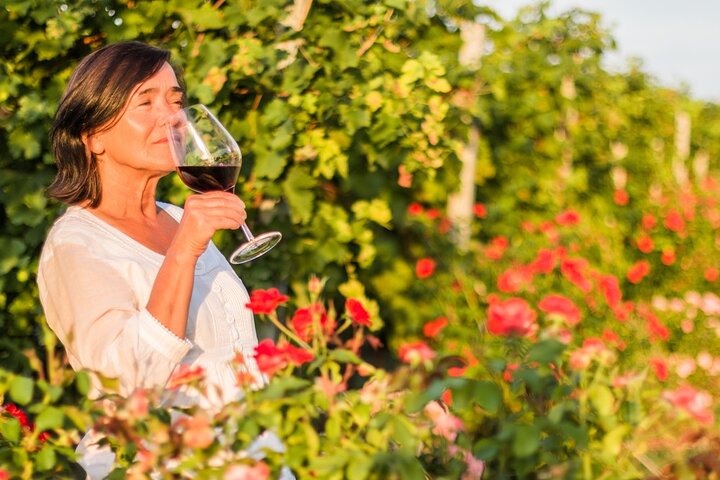 Winery Tour and Wine Tasting in Montepulciano d'Abruzzo