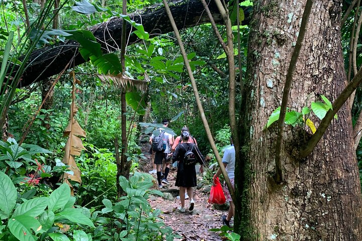 El Yunque National Forest and Luquillo Beach Tour