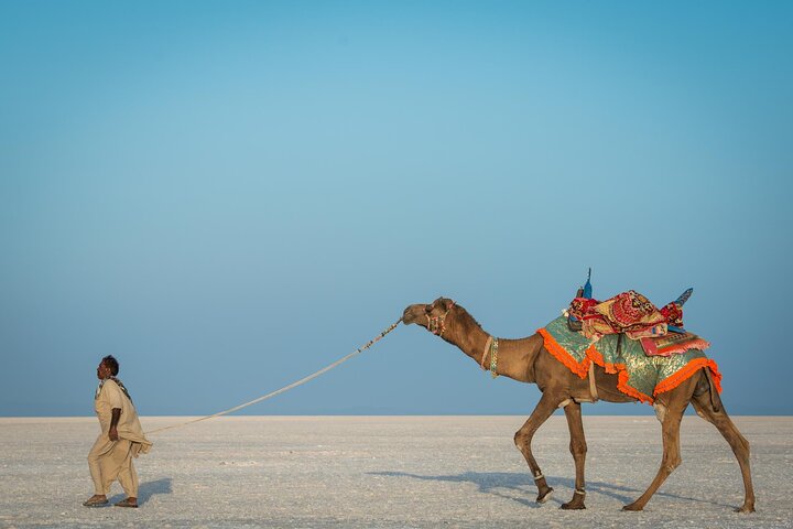 Bhuj to Narayan Sarovar Sanctuary & White Rann of Kutch