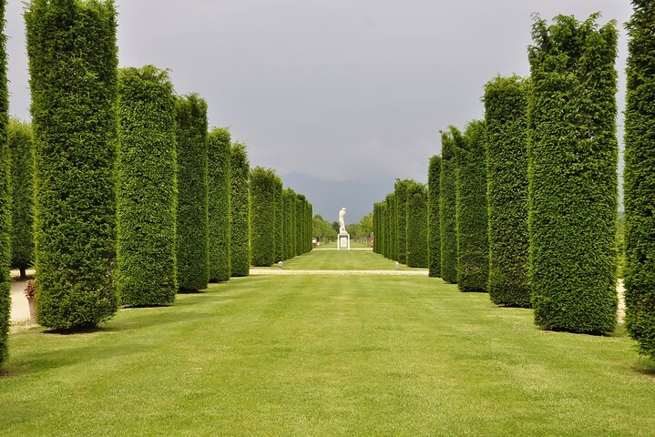 Turin: Reggia of Venaria guided experience