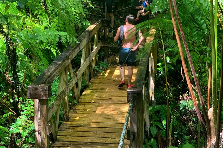 El Yunque National Forest and Luquillo Beach Tour