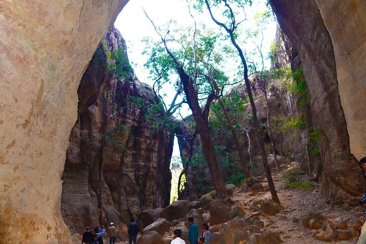 Bhopal to Satpura National Park 3-Days Private Tour