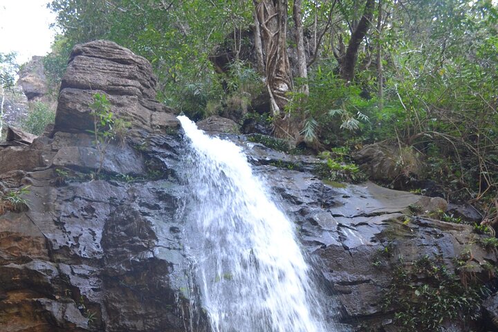 Bhopal to Satpura National Park 3-Days Private Tour