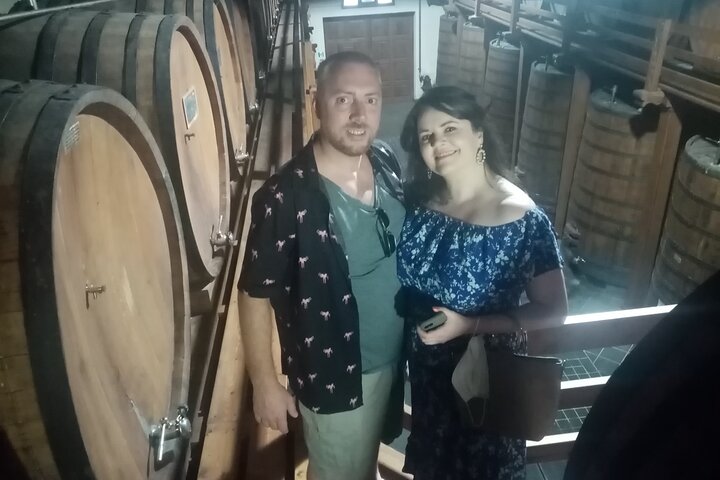 Private 6-Hour Tour of Three Etna Wineries with food&wine tasting