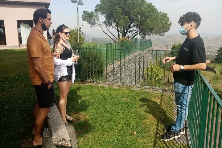 Private 6-Hour Tour of Three Etna Wineries with food&wine tasting
