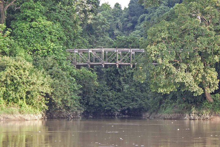 Private Assam Tea Estate, Rain Forest and River Island Tour