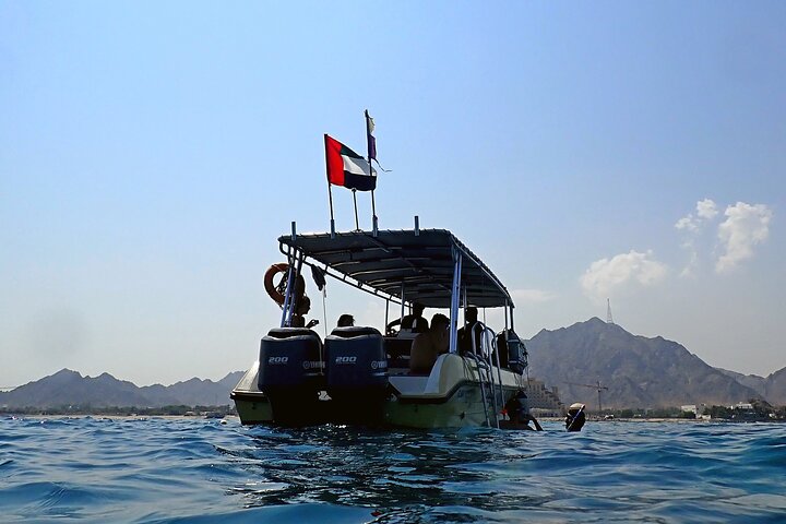 Discover Scuba Diving in Fujirah Dibba