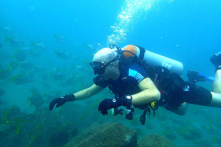 Discover Scuba Diving in Fujirah Dibba