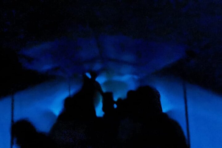 Bioluminescent Night Tour