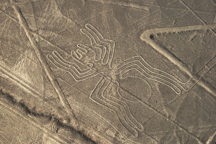 2 Day Tour from Lima: Nazca Lines Flight, Paracas, and Huacachina
