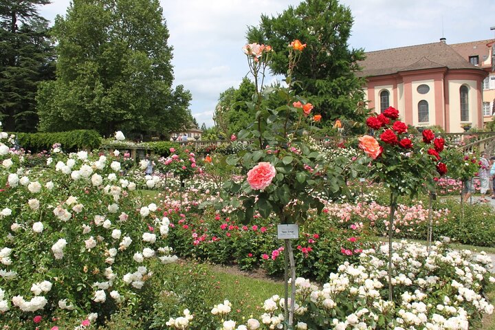 Highlights Lake Constance-Choose your favorites in private Sightseeing tour