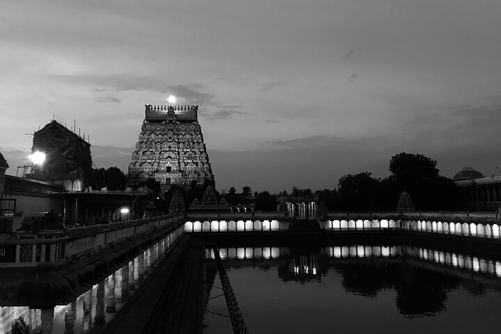 Pichavaram Mangrove & Nataraja Temple Chidambaram from Pondicherry with lunch