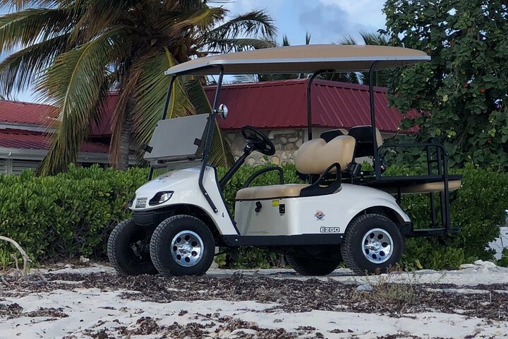 Drive GDT - Golf Cart Rentals
