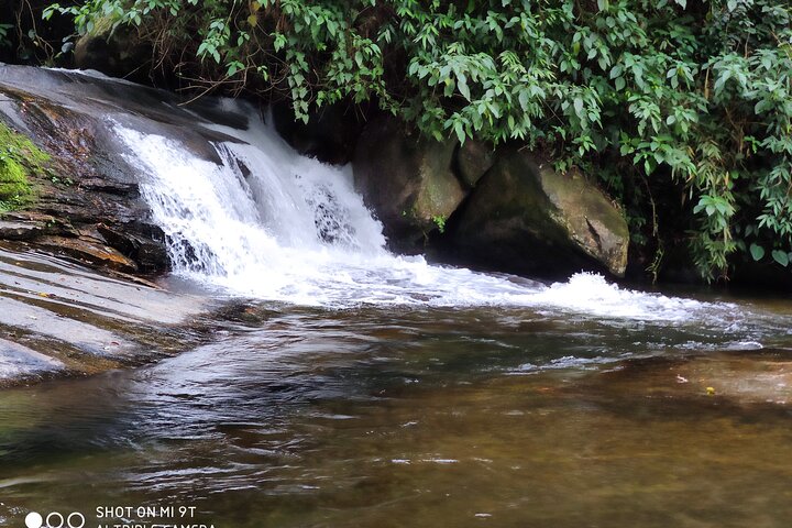 Paraty Jeep Tour: Waterfalls & Cachaça Small-Group Experience
