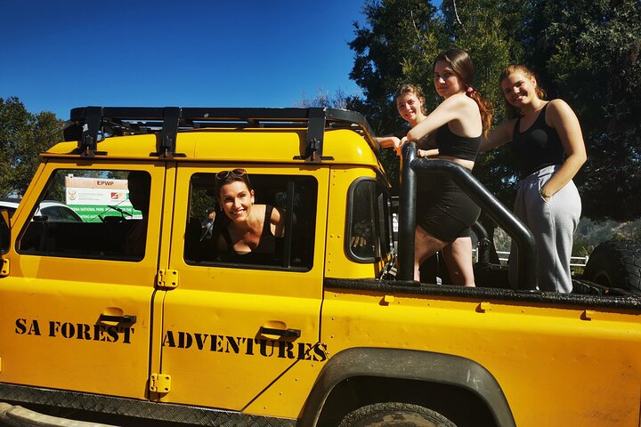 Knysna Ziplines Tour