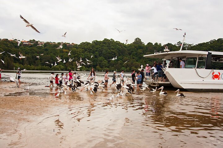 Catch a Crab Tour with Optional Seafood Lunch