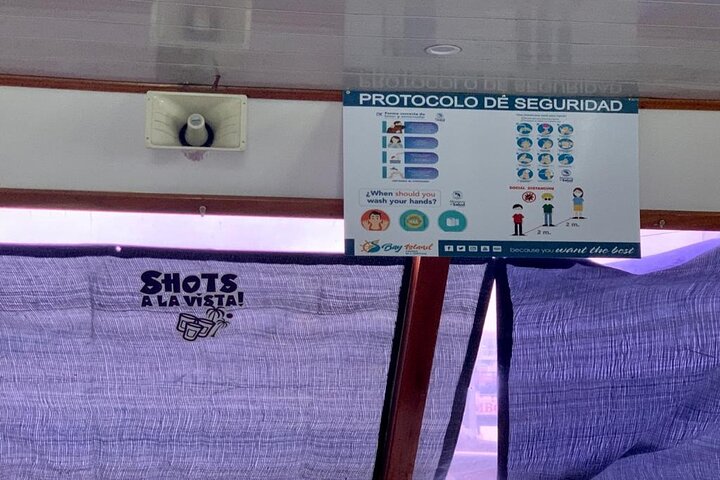 Full Day Tour to Tortuga Island from San José