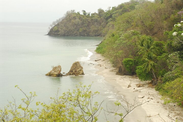 Full Day Tour to Tortuga Island from San José
