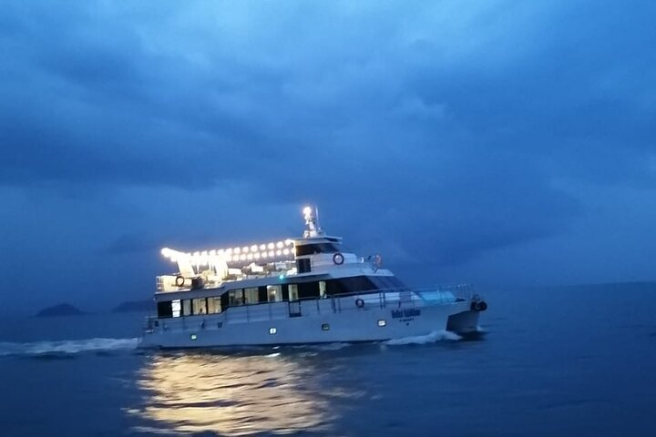 Full Day Tour to Tortuga Island from San José