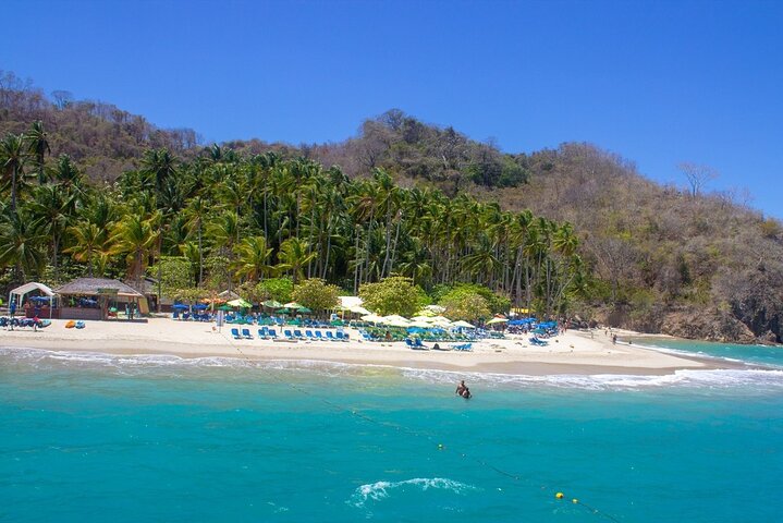 Full Day Tour to Tortuga Island from San José